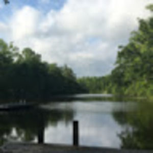 Meet your Posher, Desiree